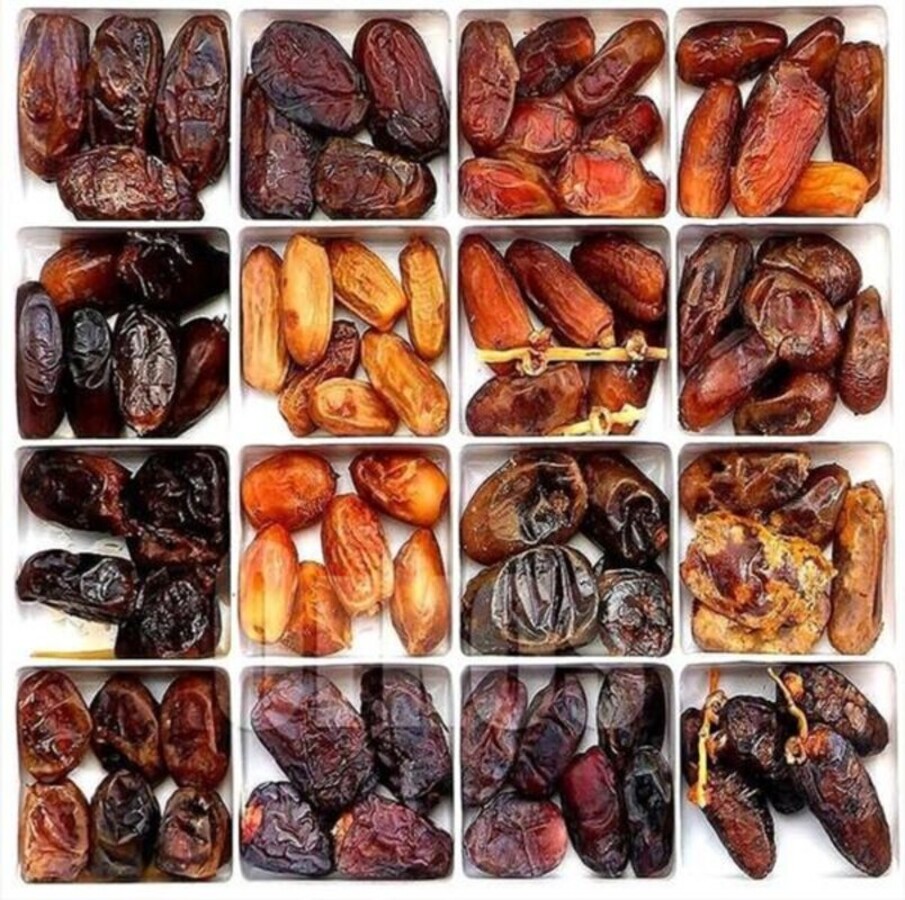 Premium Egyptian dates - Medjool and Deglet Noor varieties